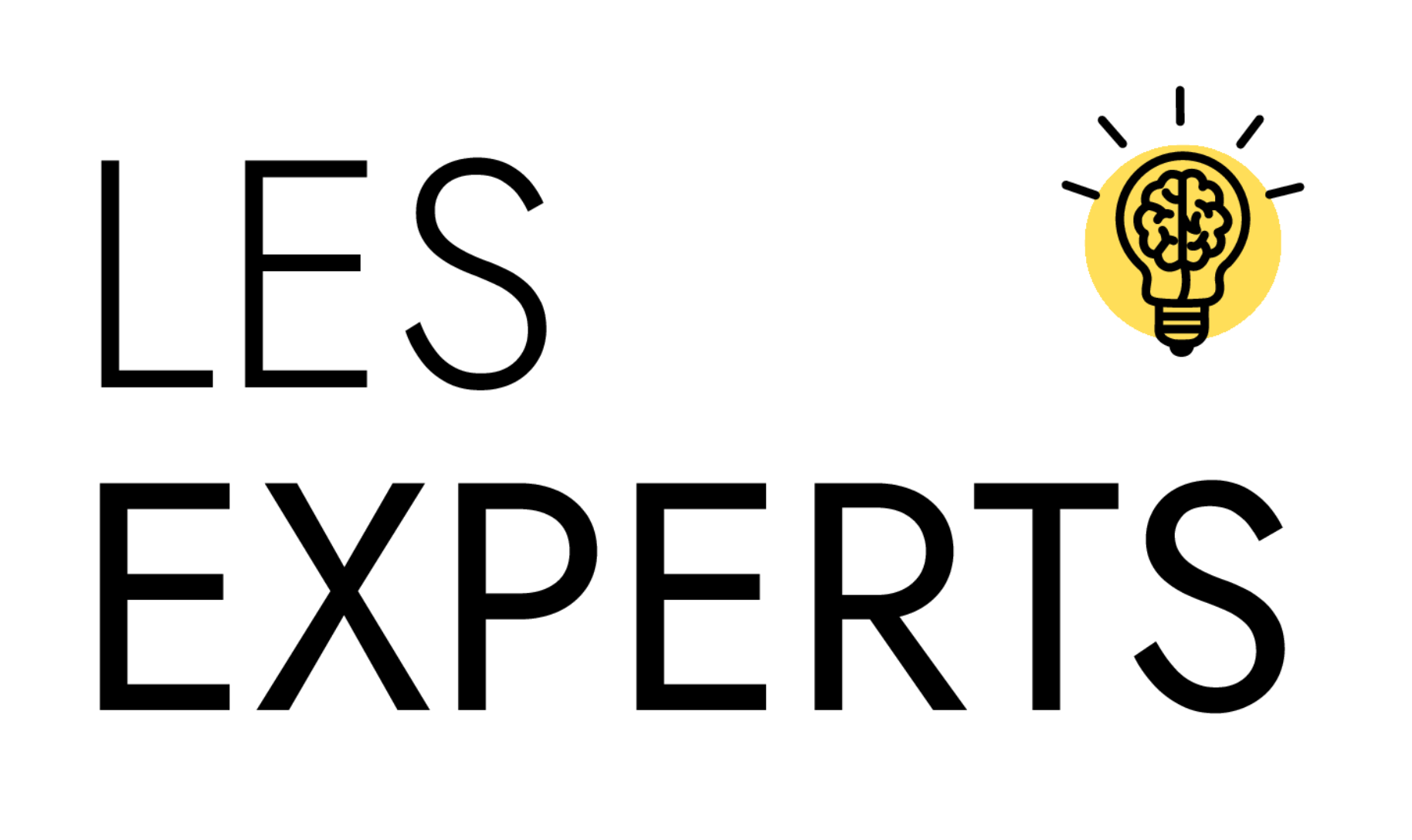 Les Experts